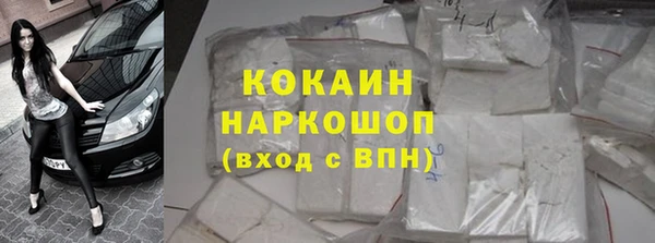 хмурый Алексин