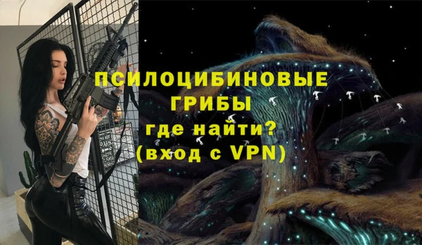крисы Абаза