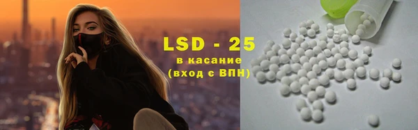 крисы Абаза