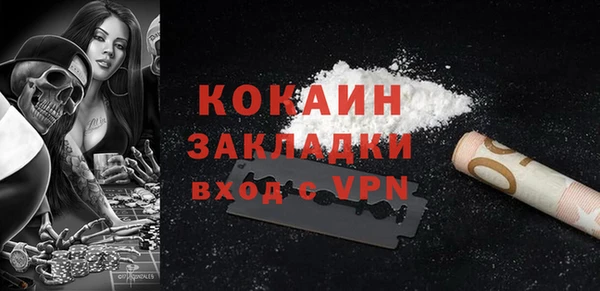 крисы Абаза