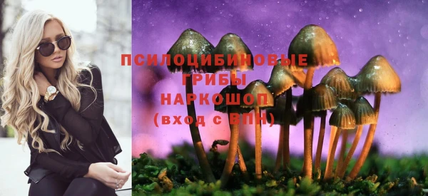 ПСИЛОЦИБИНОВЫЕ ГРИБЫ Абинск