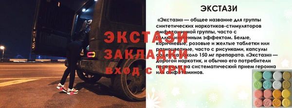 крисы Абаза