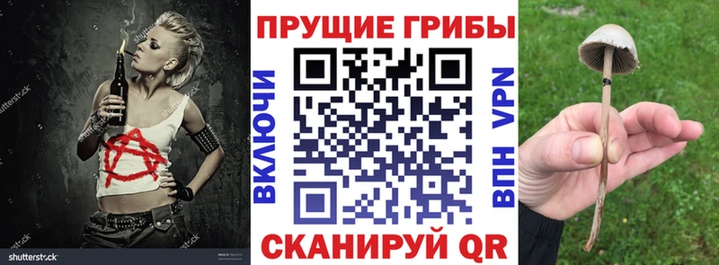 где продают Тотьма Псилоцибиновые грибы прущие грибы